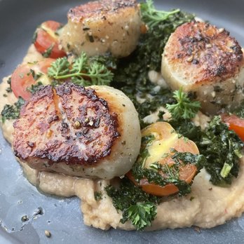 Predalina - Scallops - Mediterranean Near Me - Tampa, Florida