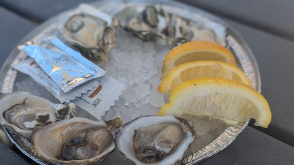 Quality Seafood Inc by null