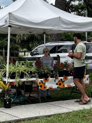 Beaches Green Market by null