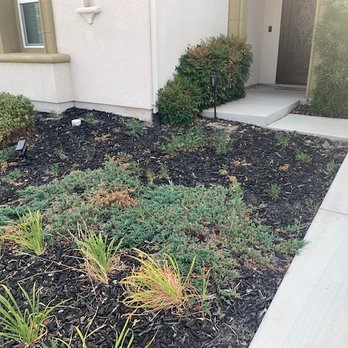 Bella Vista Landscape - Landscaping Near Me
