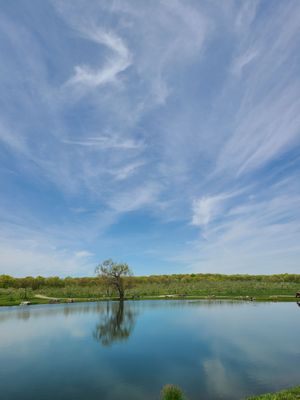Twin Star Orchards by null