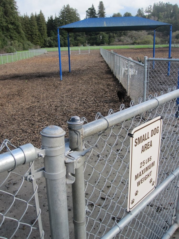 Aptos Dog Park Logo