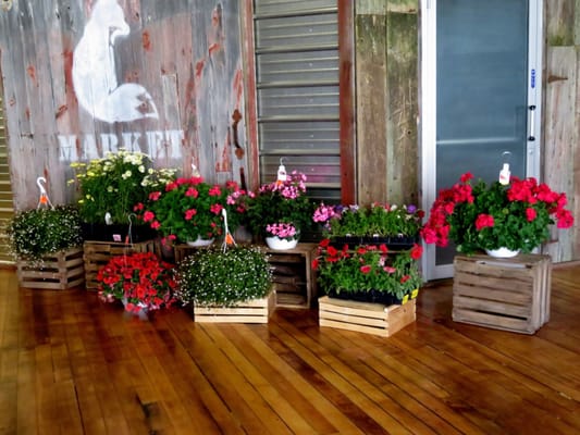 RED FOX MARKET - 14 Photos - 112 S Michigan Ave, Big Rapids, MI - Yelp