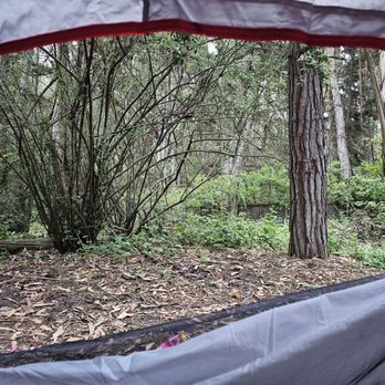 New Brighton Campground - Morning view - Campgrounds Near Me - Aptos, California