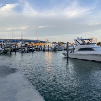 Petralunga - View - Pizza Near Me - Miami, Florida