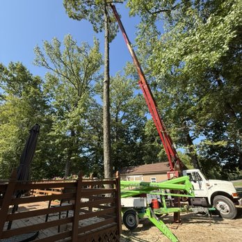 Langford Tree Care - Craning a very tall Hickory - Tree Services Near Me - Hendersonville, Tennessee Langford Tree Care - Craning a very tall Hickory - Tree Services Near Me - Hendersonville, Tennessee