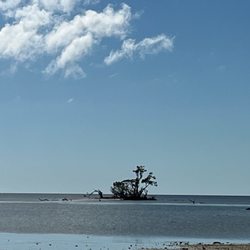Everglades Area Tours