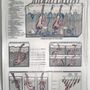 Photo of A Soft Touch Electrolysis-Judy Degregorio R E