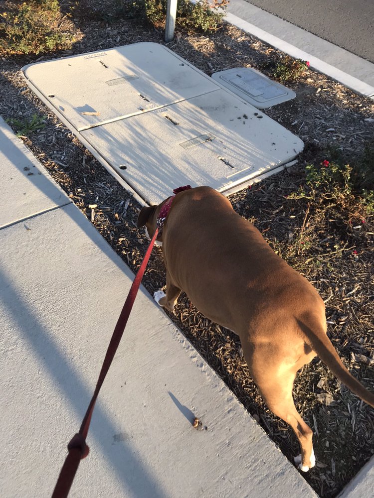 Slide of Just Call Friends