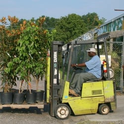 Stone Bros. & Byrd - As you can see, they employ a Clark GCS-15 forklift