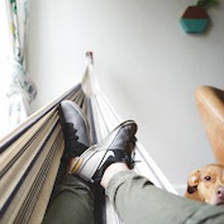 Pure In Home Pet Sitting