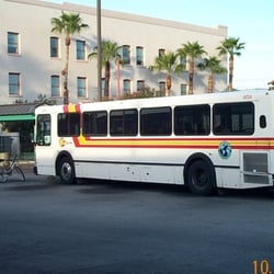 Sun Tran