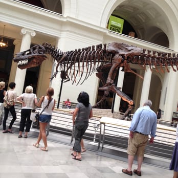 Field Museum - More Sue! - Museums Near Me - Chicago, Illinois Field Museum - More Sue! - Museums Near Me - Chicago, Illinois