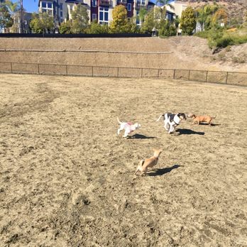 Civita Dog Park – Mission Valley
