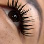 Photo of Lash & Brow Fortune