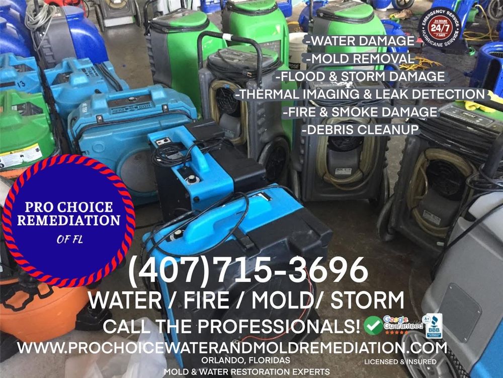 Pro Choice Remediation of FL - mold inspector in Windermere, FL