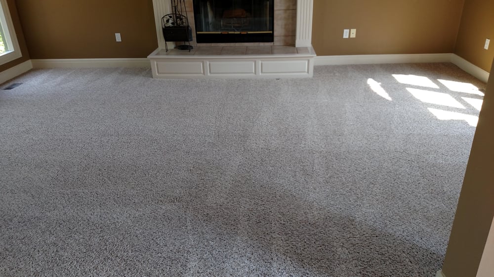 RAPID CARPET & UPHOLSTERY CLEANING Updated May 2024 16323 Rae Lee