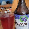 Humm Kombucha gift card