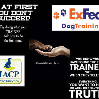 ExFed Dog Training - Pet Boarding Near Me
