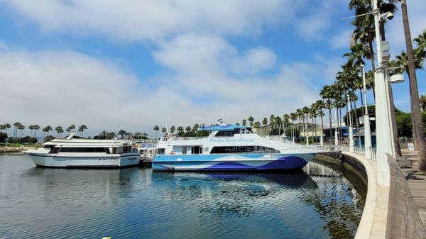 ShoreLine Aquatic Park by null