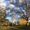 Rengstorff Park & Pool gift card
