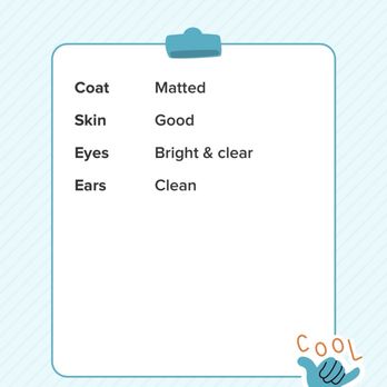 21 Pooch - Grooming Report - Pet Groomers Near Me - Los Angeles, California