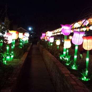 China Lights - Local Flavor Near Me - New Orleans, Louisiana