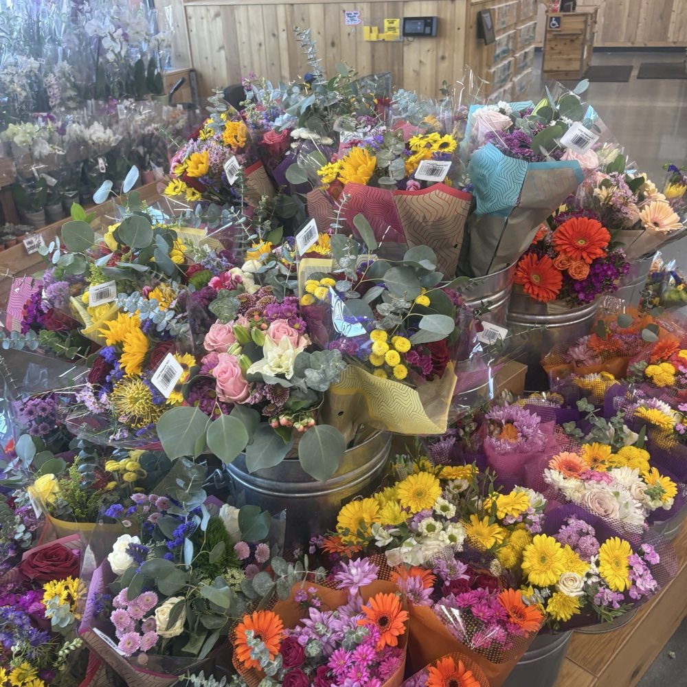 Trader Joe's - Grocery Near Me - Murrieta, California