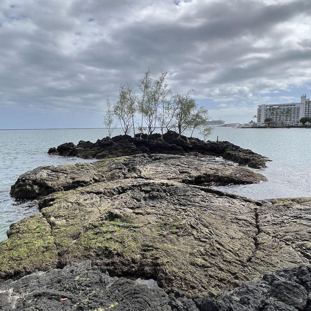 Coconut Island - Parks Near Me - Hilo, Hawaii Coconut Island - Parks Near Me - Hilo, Hawaii