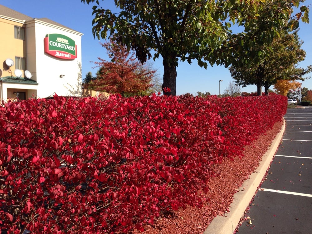 COURTYARD BY MARRIOTT 17 Photos & 22 Reviews 225 Slater St