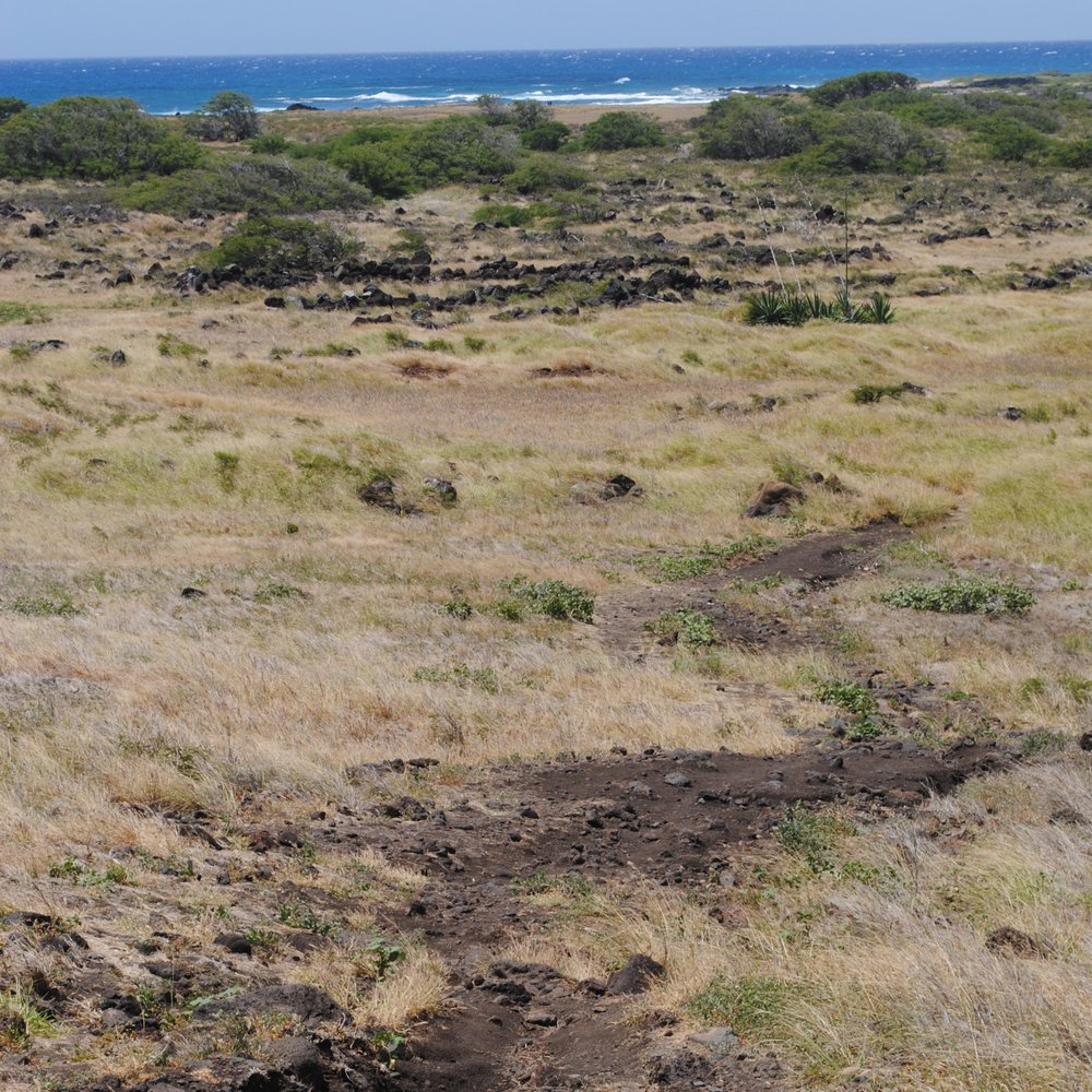Kaiwi Shoreline Trail - Hiking Near Me Kaiwi Shoreline Trail - Hiking Near Me