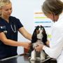 Photo of Banfield Pet Hospital