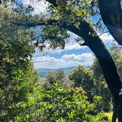Mt. Burdell Open Space Preserve