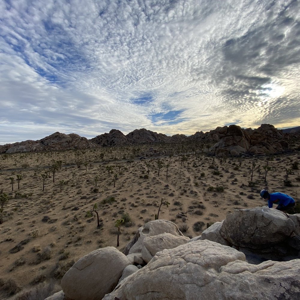 Joshua Tree Lizard - Rock Climbing Near Me Joshua Tree Lizard - Rock Climbing Near Me
