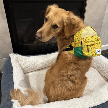Paw Hana Supply Co - Pet Stores Near Me - Aiea, Hawaii Paw Hana Supply Co - Pet Stores Near Me - Aiea, Hawaii