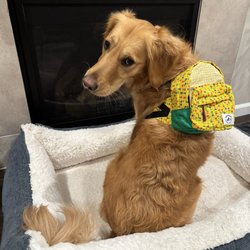 Paw Hana Supply Co