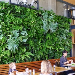 Florafelt Vertical Garden, Urban Bistro, Burlingame, California.