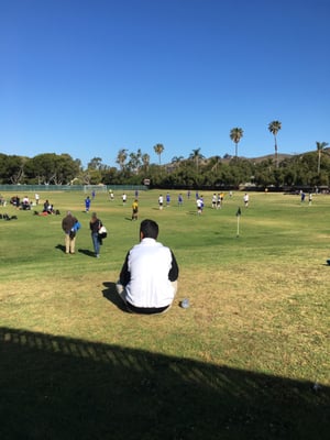 Ventura College by null
