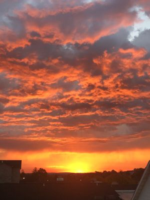 Carriage House Inn by null