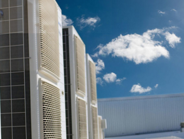 Slide of Texans Force