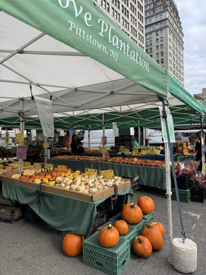 Union Square Greenmarket by null Union Square Greenmarket by null