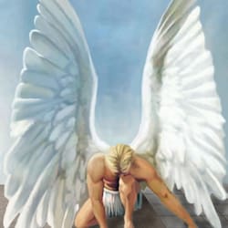 Angel's Touch Carpet Cleaning