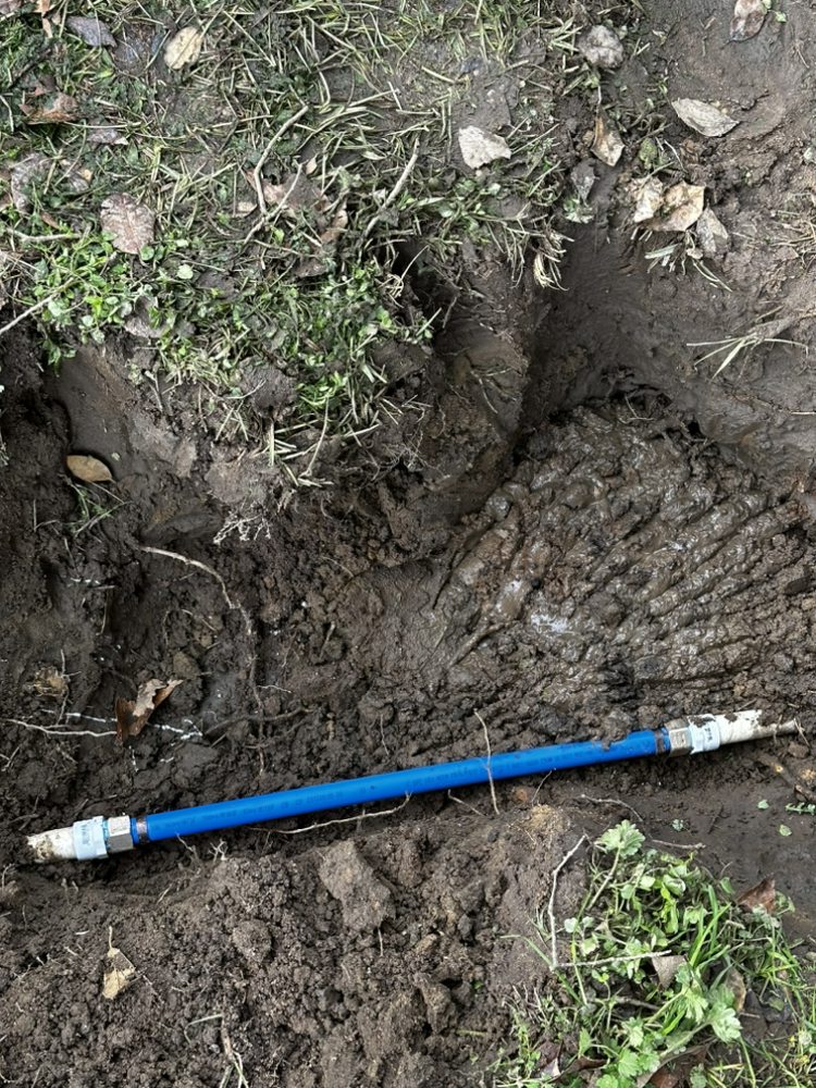 Slide of Denali Piping & Mechanical