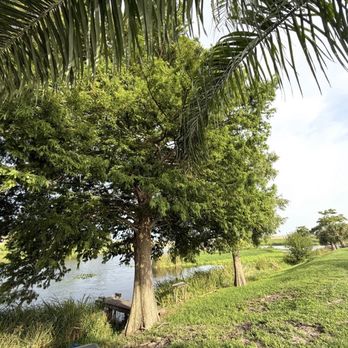 Taylor Creek RV Resort - RV Parks Near Me - Okeechobee, Florida Taylor Creek RV Resort - RV Parks Near Me - Okeechobee, Florida