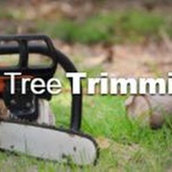Carolina Tree Care - untitled