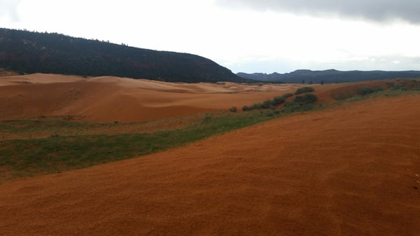 Coral Pink Sand Dunes State Park by null