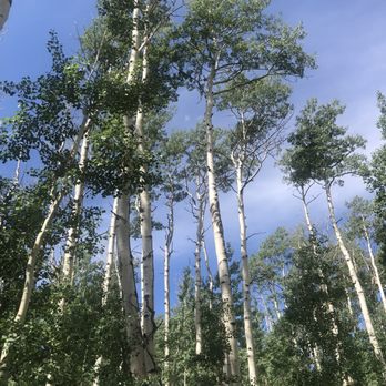 Timberline Tours - Rafting/Kayaking Near Me - Eagle, Colorado