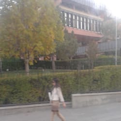 Milli Kütüphane