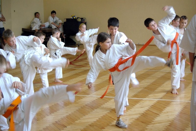 Taekwondo Club Logo