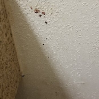 Motel 6 - Hotels Near Me - Brooklawn, New Jersey